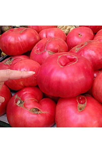 Köy Tohumları 150 Adet Tohum Organik Hobi Bahçe Saksılık Pembe Bulgar Domates...