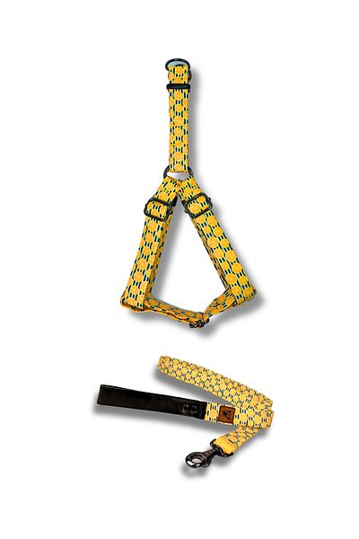 UTDpet Lemona Dog Chest Collar and Travel Dispatch Strap Set