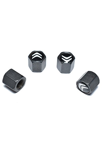 GARDENAUTO Citroen C5 Aircross Metal Sibop Kapağı 4 Adet