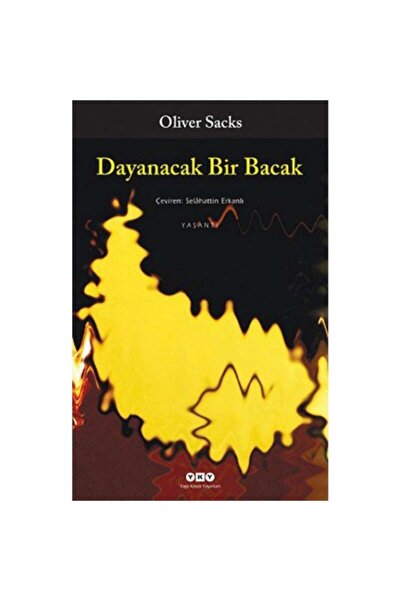 Yapı Kredi Yayınları Dayanacak Bir Bacak
