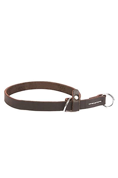 Doggie Oılbrown Educator Collar - Oiled Leather, Choke, 2.0x50-60cm