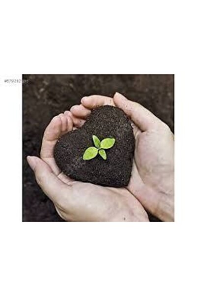 TALYA SOLUCAN Organik Solucan Gübresi Toz Sebze Meyve Ve Süs Bitkileri Saksı ...