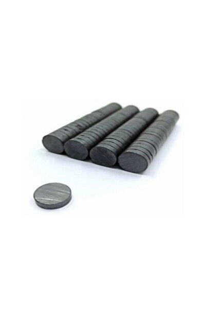 Genel Markalar Ferrit Kömür Mıknatıs 20 Mm X 3 Mm ( 500 Adet)