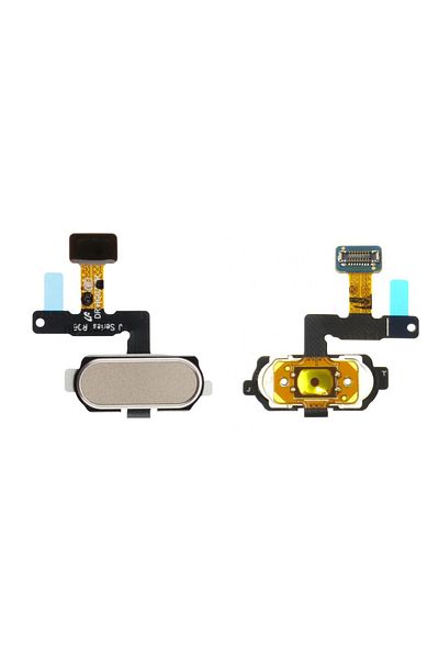 Nettech Teknonet Home Key for Samsung Galaxy J530 J5 Pro - Gold