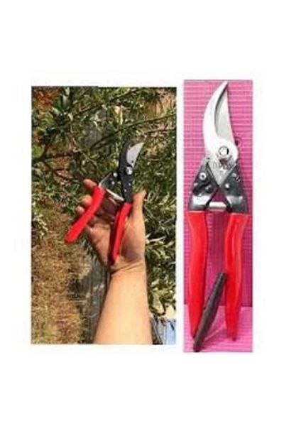 Ta-Qe Turco Washing Scissors (T7)