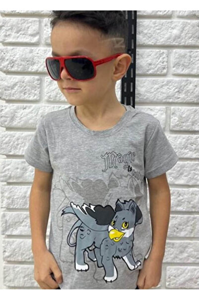 KAMİKAM Men's T-shirt with good quality