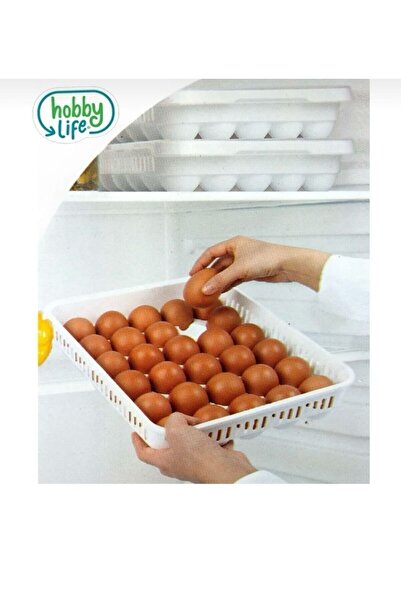 HOBBY LİFE Egg Organizer with Lid 30 Pieces Egg Storage Container Sterile Egg Holder