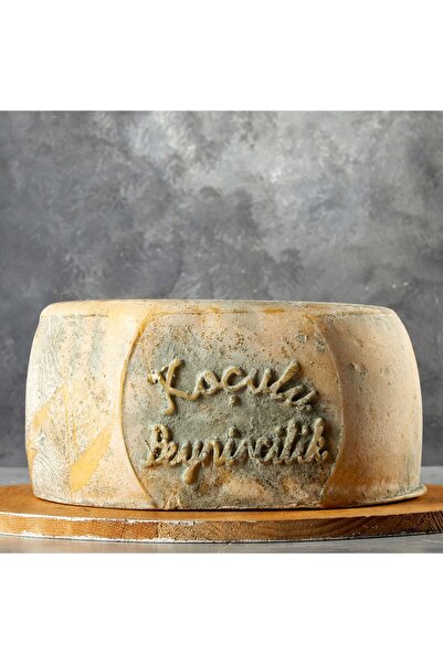 KOÇULU ÇİFTLİĞİ Koçulu Çiftliği Kars Eski Kaşar Peyniri 1 Kg