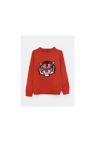 LC Waikiki Boys' Knitwear Sweater - Long Sleeve, Crew Neck, Patterned