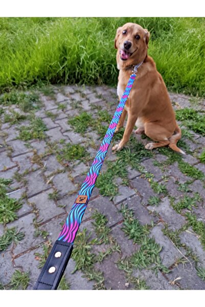 UTDpet Turquoise Dog Collar and Travel Dispatch Strap Set