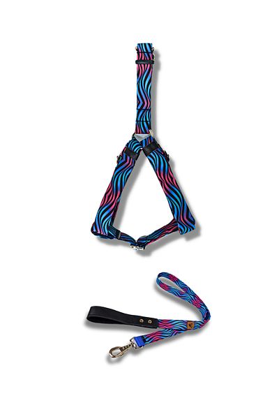 UTDpet Turquoise Dog Collar and Travel Dispatch Strap Set