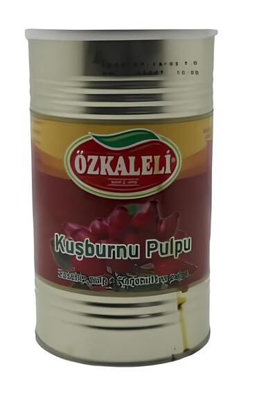 4300 GR BÜYÜK BOY KUŞBURNU PULPU
