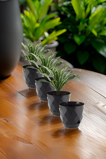 TEMMUZ HOME No 1 4 Adet Küçük Boy Baklava Desenli Tabaklı Plastik Saksı Yakam...