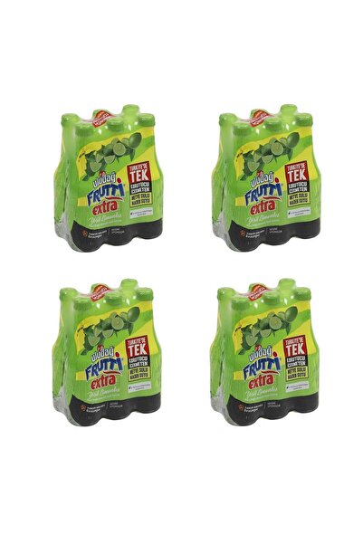 Uludağ Frutti Extra Yeşil Limonlu 250 Ml X 24 Adet