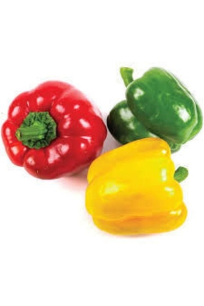 Köy Tohumları 50 Adet Tohum Renkli Rengarenk Dolmalık Biber Tohumu Taze Dolma...