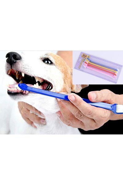 AYMİRA STORE 'DEN DOUBLE SIDED ANIMAL OUTER BRUSH SET OF 4