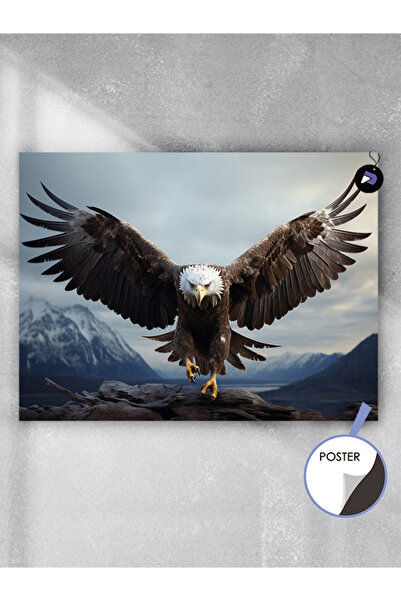 Postermanya İhtişamlı Kartal Hayvan Poster - Afiş - Dekoratif Duvar Posteri