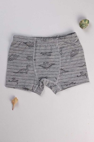 MADALİNA Boy's 95% Cotton Gray Striped Dinosaur Patterned 3-Piece Boxers