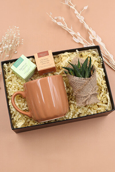 Trendmiya Kahverengi Kupa & Canlı Sukulent Çiçek & 2'li Bitki Çayı Hediye Seti
