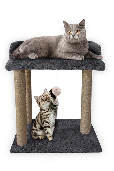 Patiderm Cat Scratching Bed