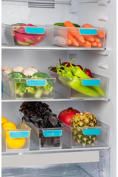 Pazarika 1.9 Lt Coverless 3-Piece Refrigerator Organizer with Wheels