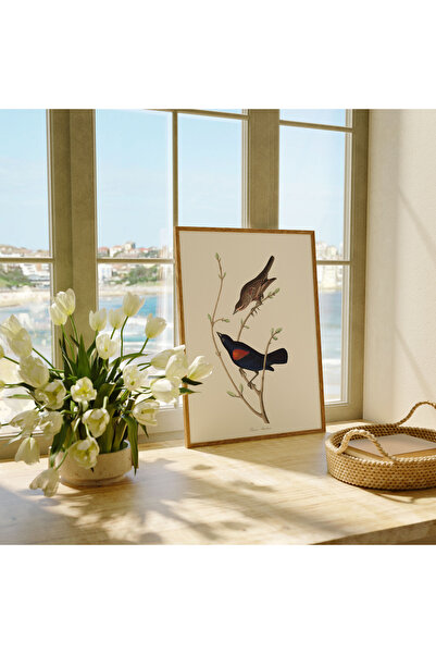 Pegziz Sığırcık Kuşu Sanatsal Duvar Dekorasyon Poster 60x90cm.
