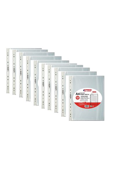 Bigpoint Bag File Eco 30 Micron 10 Bags of 100