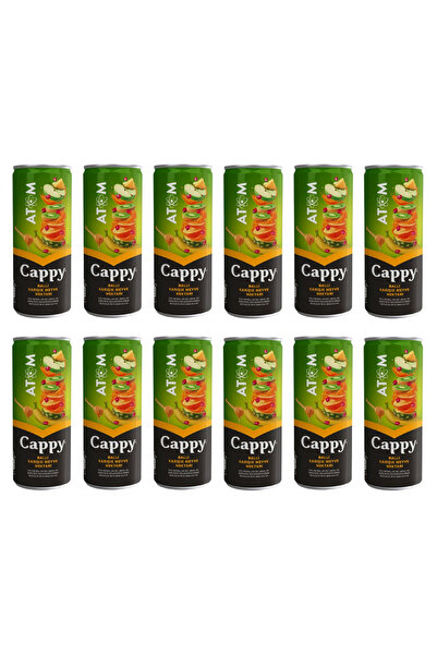 Cappy Atom Ballı Karışık Meyve Nektarı 250 Ml X 12 Adet