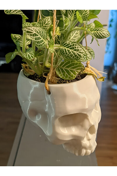 3DLAYERCRAFT Asılabilir Kafatası Saksı Beyaz Renk