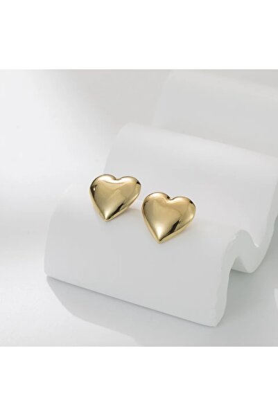 Ressia Kadın Özel Kalp Küpe