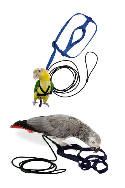 Genel Markalar Jako Papağan Uçurma Gezdirme Tasması