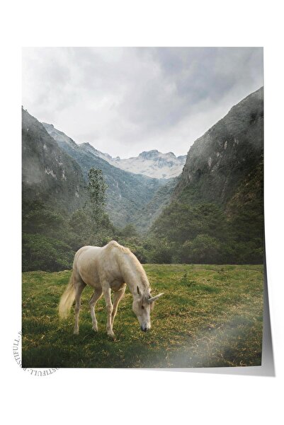 Postifull Poster bez okvira, Slika životinja i safarija br. 5, HD fotografija...