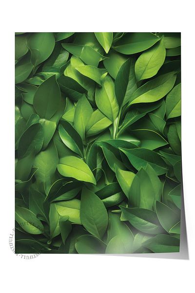 Postifull Frameless Poster, Botanical & Leaf Painting No:30, Hd Photo, Living Room, Kitchen Wall Decor Poster