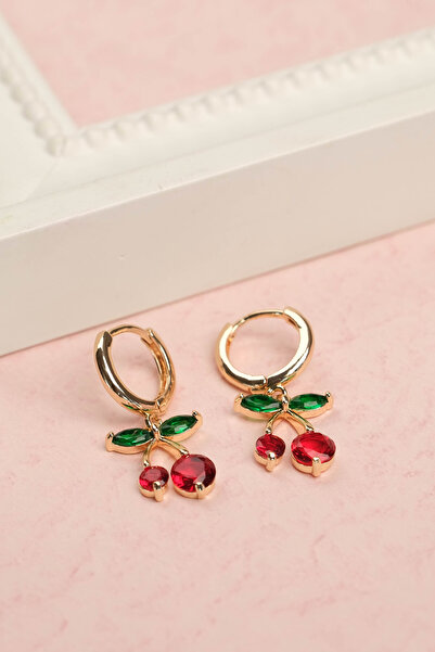 Richard Jewell Kadın Çelik Renk Atmaz Garantili Faturalı Küpe JFRCH2036