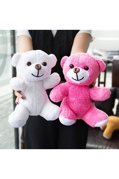Nobbystar Set of 2 Plush White and Pink Teddy Bear - 20 Cm