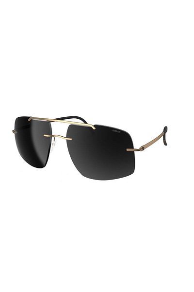 Silhouette 8739 75 7630 Model Men's Sunglasses
