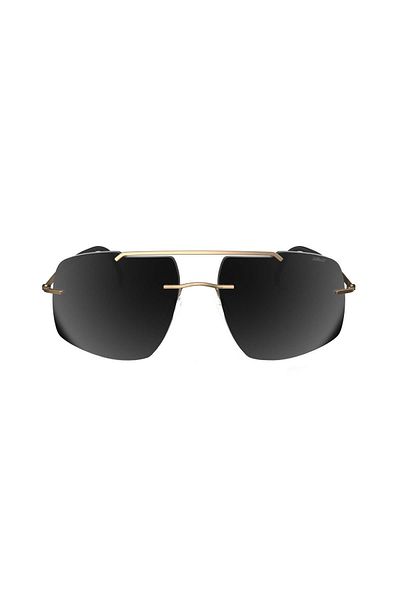 Silhouette 8739 75 7630 Model Men's Sunglasses
