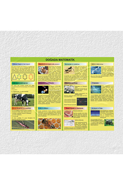 SINIF SEPETİ Doğada Matematik Posteri - PO661