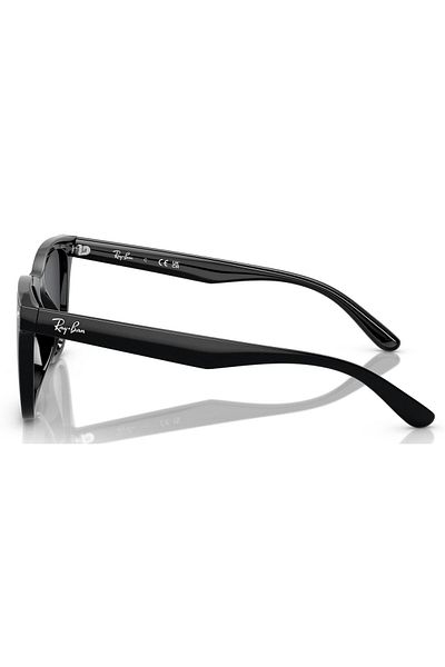 Ray-Ban Rb4420 601/80 65 Unisex Sunglasses