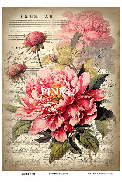 LİNEART Pink42 Model Brass Decopage Paper