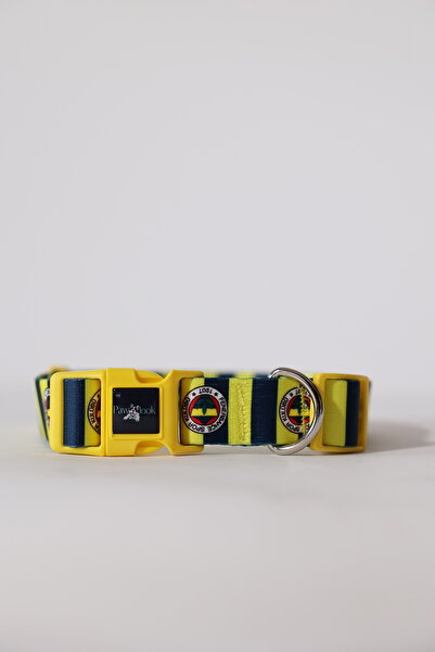 PAWLOOK Fenerbahçe Lisanslı Köpek Boyun Tasması, Çubuklu Boyun Tasması