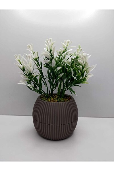 DDPEST Saksıda Yeşil Beyaz Yapay Bitki Garnitür Taş Yosunlu 17 Cm Dekoratif B...
