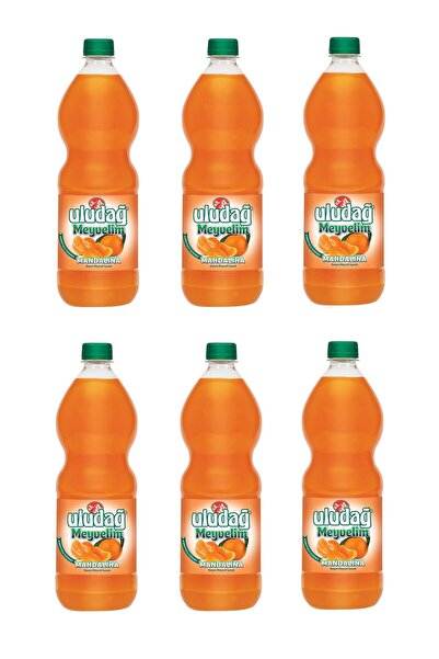 Uludağ Meyvelim Mandalina 1 Lt X 6 Adet