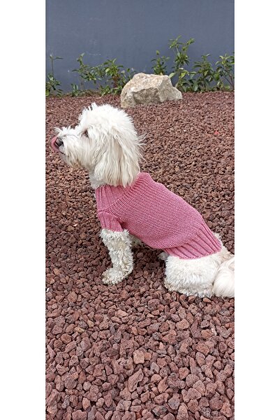 faramiss fashion SELANİK ÖRGÜ GÜL KURUSU RENK KEDİ KAZAK KÖPEK KAZAK FARAMİSSPET