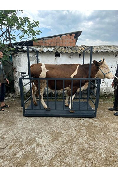 Demirtaş Tartı Mega 3000 Kg 100x200 Cm Hayvan Baskülü Dikey Demirli Çift Kuşaklı