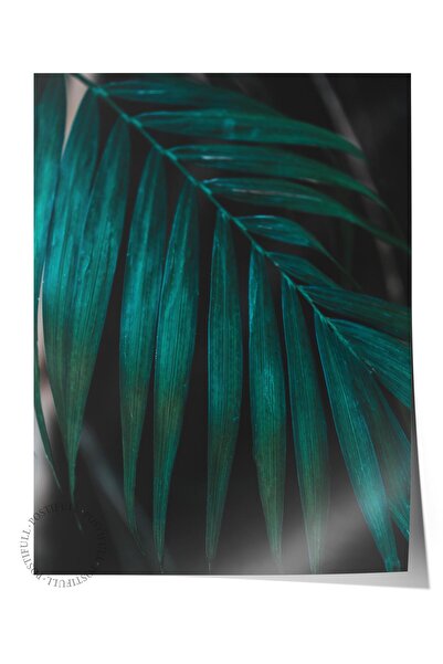 Postifull Çerçevesiz Poster, Botanik & Yaprak Tablo No:31, HD Fotoğraf, Salon...