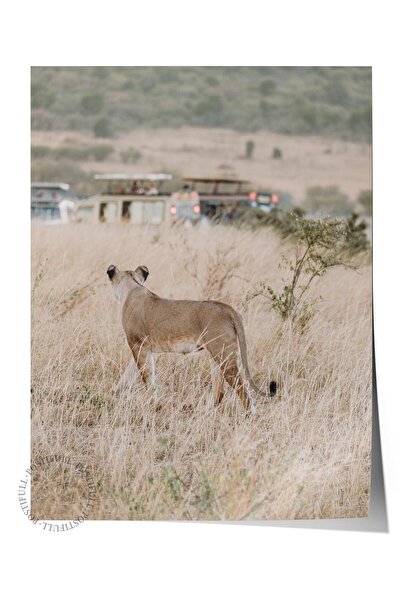 Postifull Αφίσα χωρίς πλαίσιο, Ζώα & Ζωγραφική Σαφάρι Νο:14, Φωτογραφία HD, Δ...