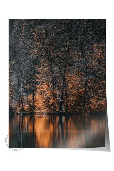 Postifull Forest No:41 - Αφίσα με τυπωμένη φωτογραφία χωρίς πλαίσιο, διακόσμηση σαλονιού, κουζίνας, σαλονιού και αίθουσας Duar
