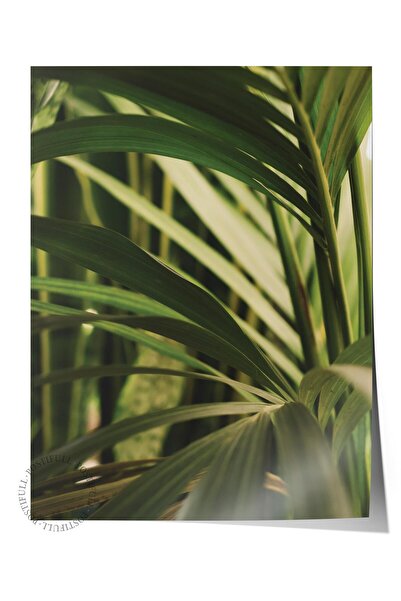 Postifull Çerçevesiz Poster, Botanik & Yaprak Tablo No:25, HD Fotoğraf, Salon...