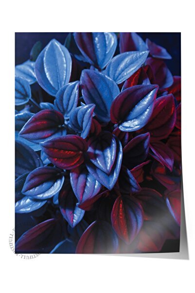 Postifull Çerçevesiz Poster, Botanik & Yaprak Tablo No:4, HD Fotoğraf, Salon,...